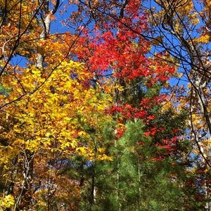 Meet your Posher, Robyn